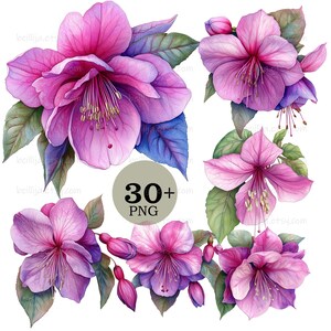 34 Fuchsia Watercolor Clipart, Pink Botanical Flowers, Large Floral Clip art, High Quality PNG Flowers, Digital Images, commercial use ok