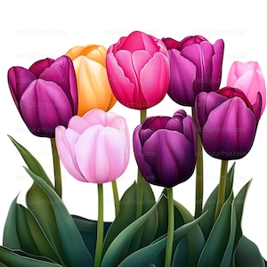 Puede incluir: Ilustración digital de un ramo de tulipanes en plena floración. Las flores muestran una gama de colores, incluyendo morado oscuro, rosa y amarillo, con tallos y hojas verdes. La imagen está sobre un fondo blanco.