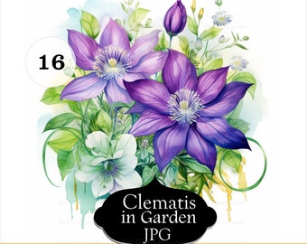 16 Purple Blue Clematis Clipart, Watercolor Clipart, Garden Flowers Printable High Quality JPGs, Digital Download, Paper Craft Projects