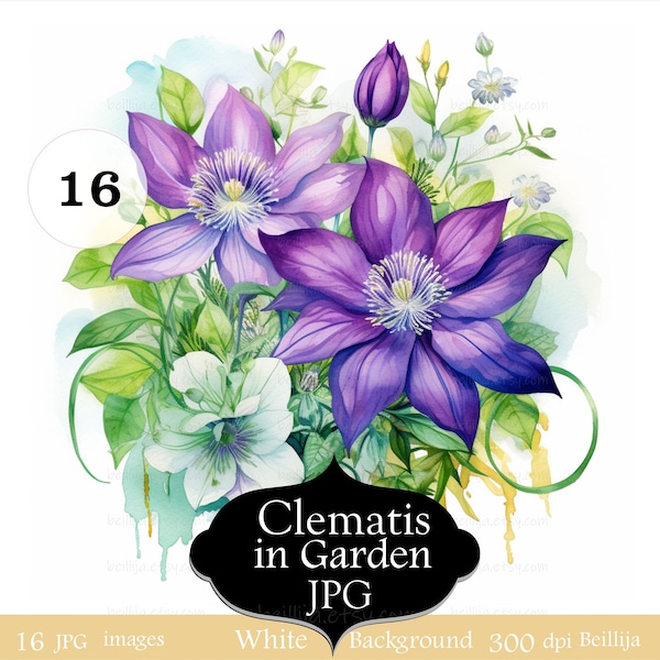 16 Purple Blue Clematis Clipart, Watercolor Clipart, Garden Flowers Printable High Quality JPGs, Digital Download, Paper Craft Projects