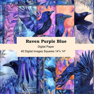 Puede incluir: Una colección de 40 imágenes digitales con ilustraciones de acuarela de cuervos en tonos morados y azules. Cada imagen cuadrada mide 35,56 cm por 35,56 cm. Se muestra el texto "Raven Purple Blue" y "Digital Paper".