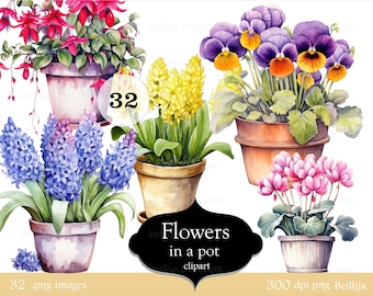 Watercolor Flower Pot Clipart, Tulips, Hyacinth, Fuchsia, Pansy, Cyclamen, Flowers Clipart, Plants, Digital Images 32 PNG High Quality CU OK