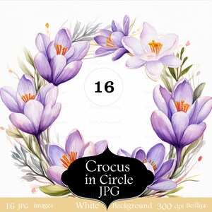 Peut inclure: Illustration à l'aquarelle d'une couronne de fleurs de crocus violets et blancs avec des centres orange et des feuilles vertes. L'image comprend le texte "Crocus in Circle JPG" et le chiffre "16".