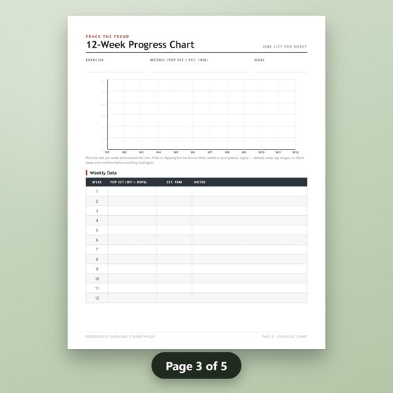 Strength Training Log Printable, Progressive Overload Tracker, Weekly Workout Sheets, Set Rep Weight Log, 1RM Reference, Instant Download, image 7