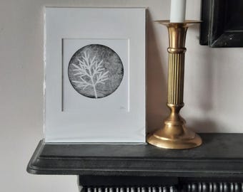 Puede incluir: Una lámina artística con paspartú que presenta una ilustración botánica circular en blanco y negro de una planta similar a un helecho. La lámina se muestra en una funda protectora transparente junto a un candelabro de latón con una vela blanca.