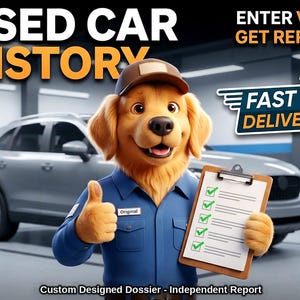 Può includere: Un personaggio golden retriever con berretto marrone e camicia da lavoro blu, che fa un pollice in su tenendo un blocco appunti con una lista di controllo. Il testo recita: USED CAR HISTORY, ENTER VIN -> GET REPORT, FAST DELIVERY e Custom Designed Dossier - Independent Report.
