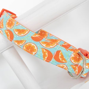 Orange Dog Collar - Orange Slices on Light Aqua - Summer Dog Collar - Fruit Dog Collar - Boy Dog Collar - Girl Dog Collar - Spring Dogs