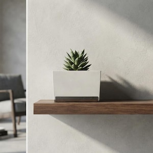 Op de afbeelding: Een kleine groene vetplant in een rechthoekige witte pot met een donkerbruine houten voet, geplaatst op een horizontale houten plank tegen een lichtgrijze muur met natuurlijk zonlicht dat schaduwen werpt over het oppervlak.