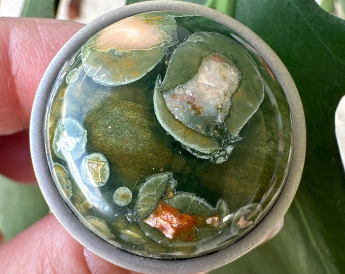 Rainforest Knob