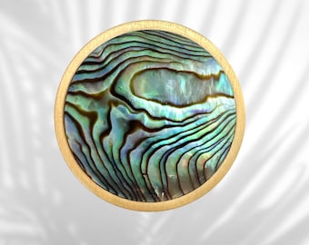 Abalone kast knop Paul Shell lade trek tropisch glamour oceaan geïnspireerd chique huis strand decor kust luxe moderne messing hardware nautisch