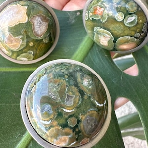 Rainforest JasperKnobs are on a tropical leaf for an organic modern decor look.