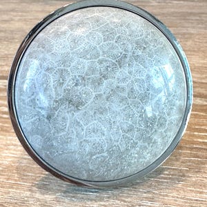 May include: A round, silver-toned cabinet knob with a light gray, textured surface. The surface has a detailed, organic pattern, resembling coral or a similar natural formation. The knob is set against a light brown wooden surface.