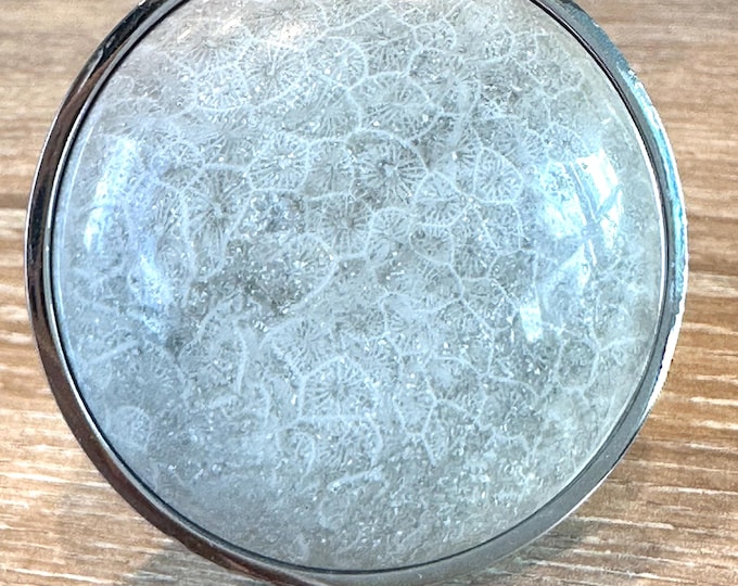 Coastal Knobs and Handles Luxury Coral Fossil Beach House Decor Classy Solid Brass Hardware Cabinet Knob Coastal Chic Bathroom Accessories