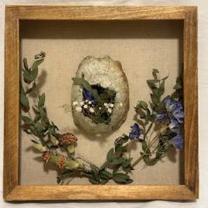 May include: A square wooden shadow box frame containing a central turtle shell fragment filled with small white and blue dried flowers, flanked by two curved stems of dried green foliage and blue blossoms against a light beige fabric backing.
