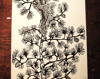 Porcupine Pine, handgedrukte linosnedekaart, © 2019 Patrick Norton