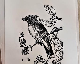 Cedar Waxwing in Pacific Dogwood, handprinted linocut print, © 2018 Patrick Norton