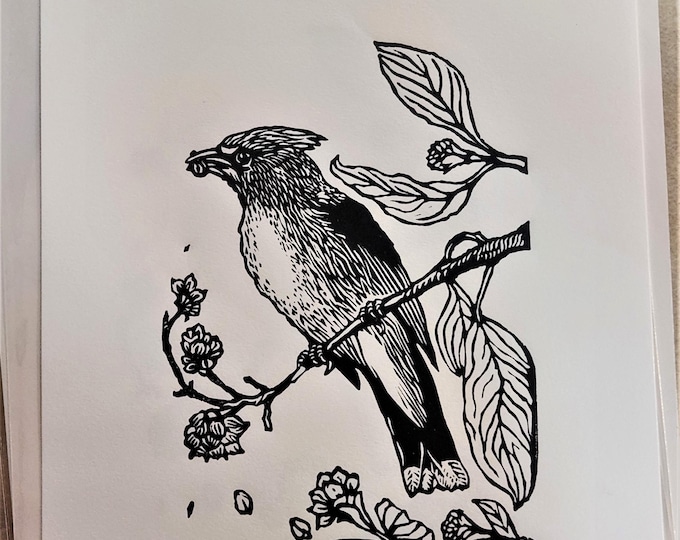 Cedar Waxwing in Pacific Dogwood, handprinted linocut print, © 2018 Patrick Norton
