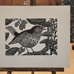 Swainson&#39;s Thrush in Alder, handprinted linocut print, © 2019 Patrick Norton