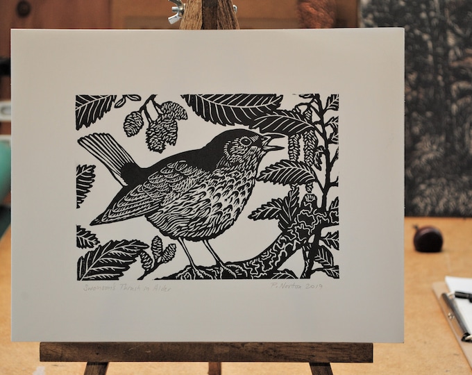 Swainson's Thrush in Alder, handprinted linocut print, © 2019 Patrick Norton