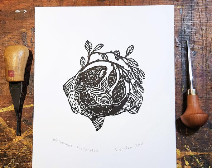 Watershed Protection