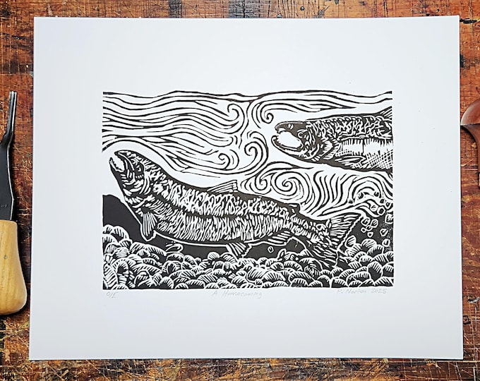 A Homecoming, coho salmon nestbuilding, linocut print