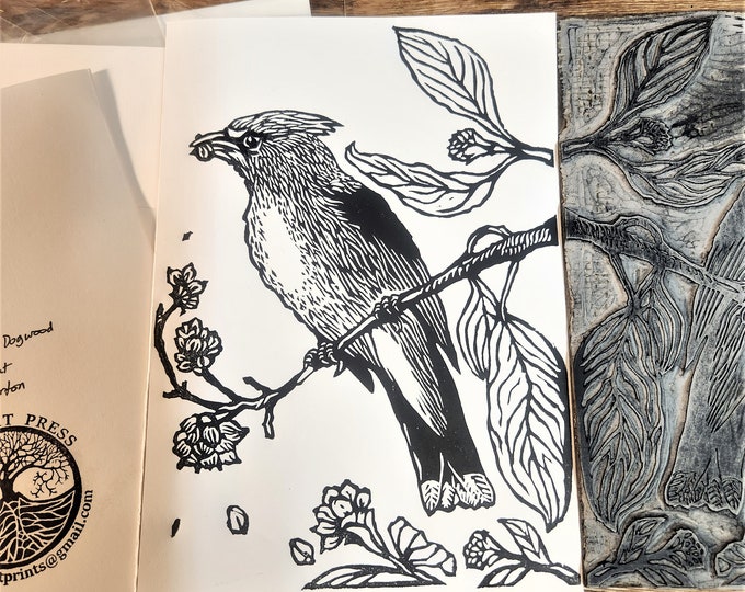 Cedar Waxwing in Pacific Dogwood, handprinted linocut card, © 2018 Patrick Norton