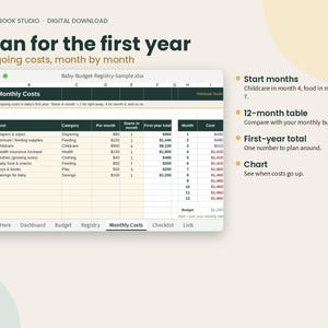 May include: A digital spreadsheet titled Plan for the first year, showing a Baby-Budget-Registry-Sample.xlsx file. The table lists monthly costs for items like diapers, formula, and childcare, with columns for category, monthly cost, and first-year totals.