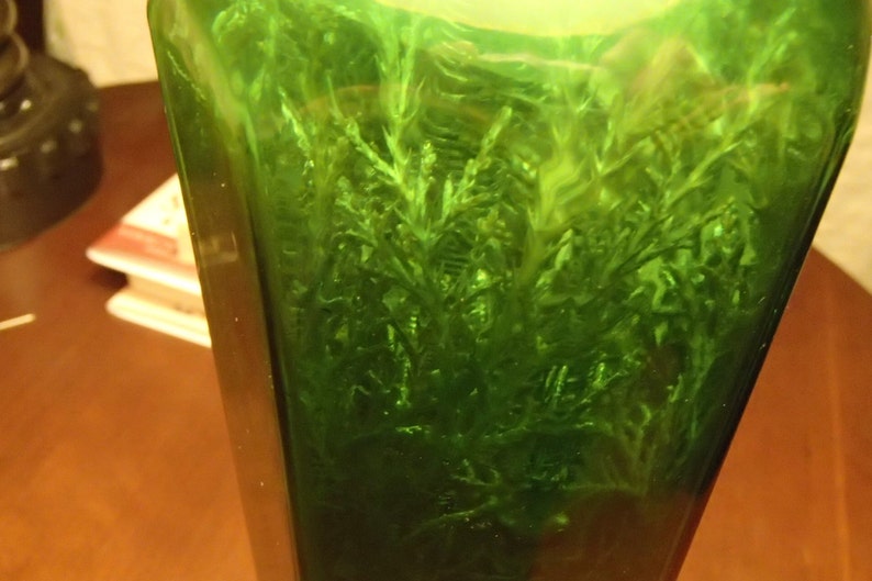 May include: A tall, green glass bottle filled with vibrant green plant life. The bottle's shape is rectangular with a slight taper. The plant life inside appears lush and healthy, creating a striking visual contrast with the clear glass.