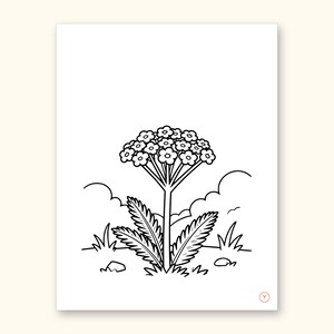Nature Coloring Pages | ABC Letter Tracing for Kids Ages 2-5 (Digital PDF): sample page 52 of 55