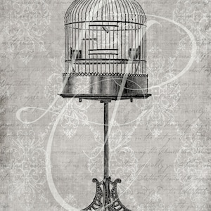 Vintage Birdcage Image # 3- Instant Download - Printable Image - Victorian Stand - Vintage Images (8.5 &quot;x 11&quot; 300dpi) CU - JPG & PNG Files