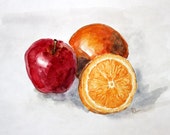 Still Life  Apple And Orange - Water color Painting -Size 11" x 14"