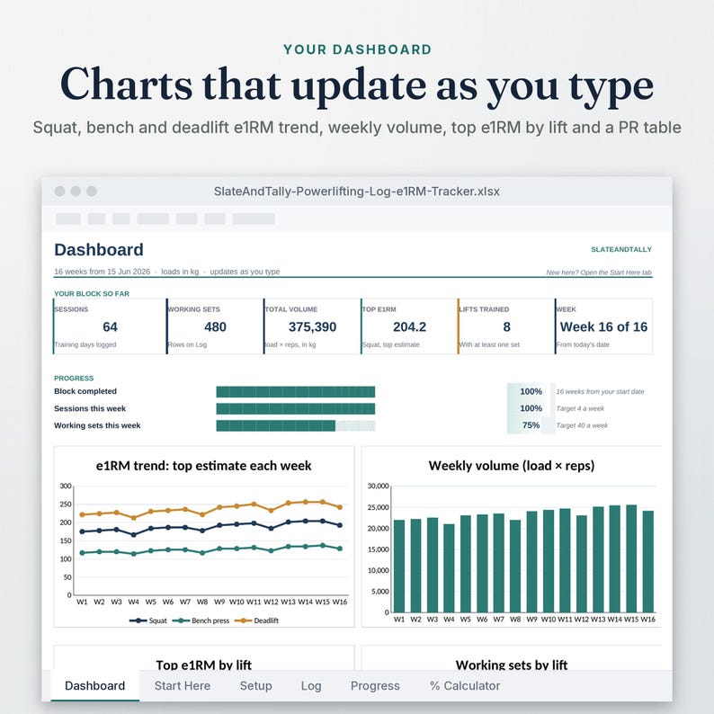Powerlifting Log dashboard close-up showing e1RM, RPE and PRs, with charts that update as you type