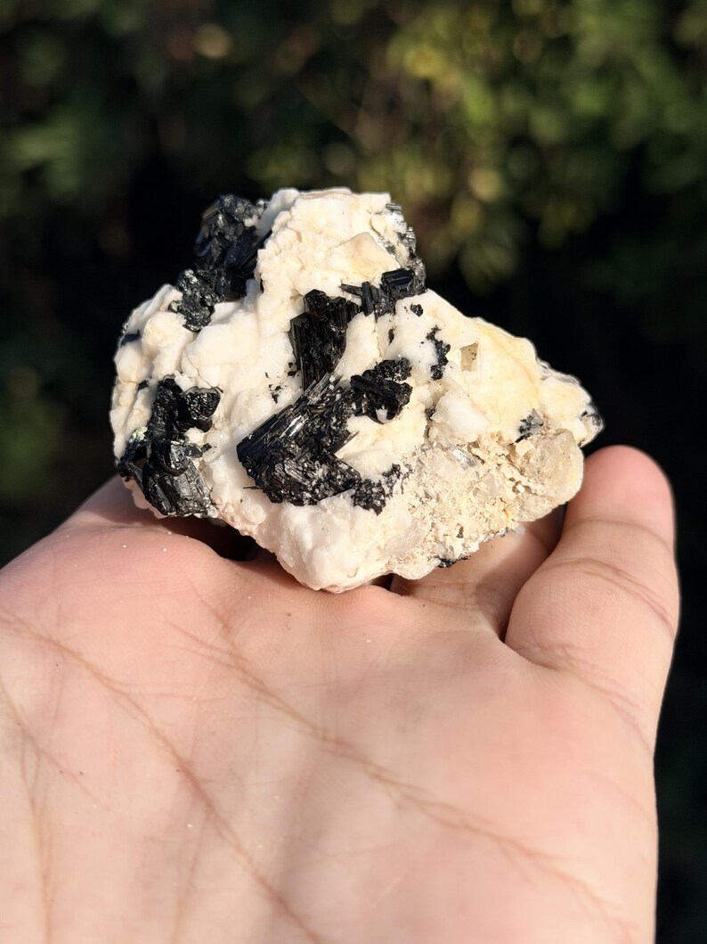 Geode Geological Formation Natural Black Tourmaline Schorl on White Feldspar Matrix, Striated ...