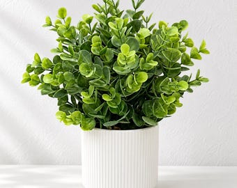 Pianta artificiale di eucalipto in vaso di ceramica bianca, verde finto per ufficio, scrivania e bagno.
