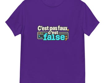Dat is niet fout, dat is onjuist; - ontwikkelaarsgeschenk, programmeerhumor