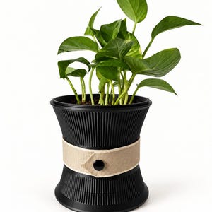 May include: A black, vertically ribbed, hourglass-shaped planter containing a green pothos plant. A beige fabric band wraps around the centre of the planter, secured by a single, centred, round black button.