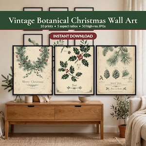 May include: Three framed wall art prints featuring vintage botanical Christmas illustrations. The left print shows a wreath with the text Merry Christmas. The center print depicts holly with the text Noel. The right print shows pine cones with the text Pinus Pine.