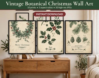 May include: Three framed wall art prints featuring vintage botanical Christmas illustrations. The left print shows a wreath with the text Merry Christmas. The center print depicts holly with the text Noel. The right print shows pine cones with the text Pinus Pine.