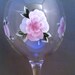 see more listings in the Wine Glass section