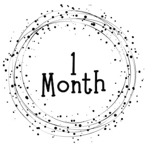 Paint Spatter Baby Milestone Designs - Baby Milestones Svg, Baby Milestone Svg, Baby Months Svg, Monthly Milestones, Baby Svg, First Year