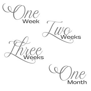 Script Design bébé jalon Designs - bébé jalon Svg, bébé jalon Svg, bébé mois Svg, jalons mensuels, bébé Svg, première année