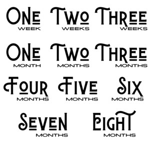 Fun Text Baby Milestone Designs - Baby Milestones Svg, Baby Milestone Svg, Baby Months Svg, Monthly Milestones, Baby Svg, First Year