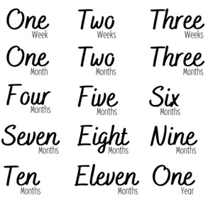 Adorable Script Baby Milestone Designs - Baby Milestones Svg, Baby Milestone Svg, Baby Months Svg, Monthly Milestones, Baby Svg, First Year
