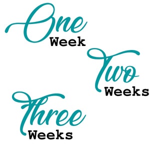 Script Baby Milestone Designs - Baby Milestones Svg, Baby Milestone Svg, Baby Months Svg, Monthly Milestones, Baby Svg, First Year