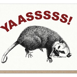 YAASSSSS! Possum | Grußkarte