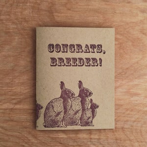 Congratulations Breeder New Baby Pregnancy Expecting Letterpress Greeting Card Wraparound Cards Funny Blue Birth Rabbits Bunny