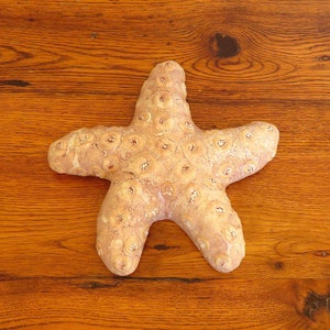 Starfish Vintage Set of 2 - Etsy
