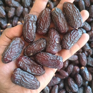 May include: A collection of dark brown, wrinkled dried dates with an elongated oval shape. The fruit features a textured, leathery skin and a deep mahogany colour, displayed in a large pile with several individual pieces held in an open palm.