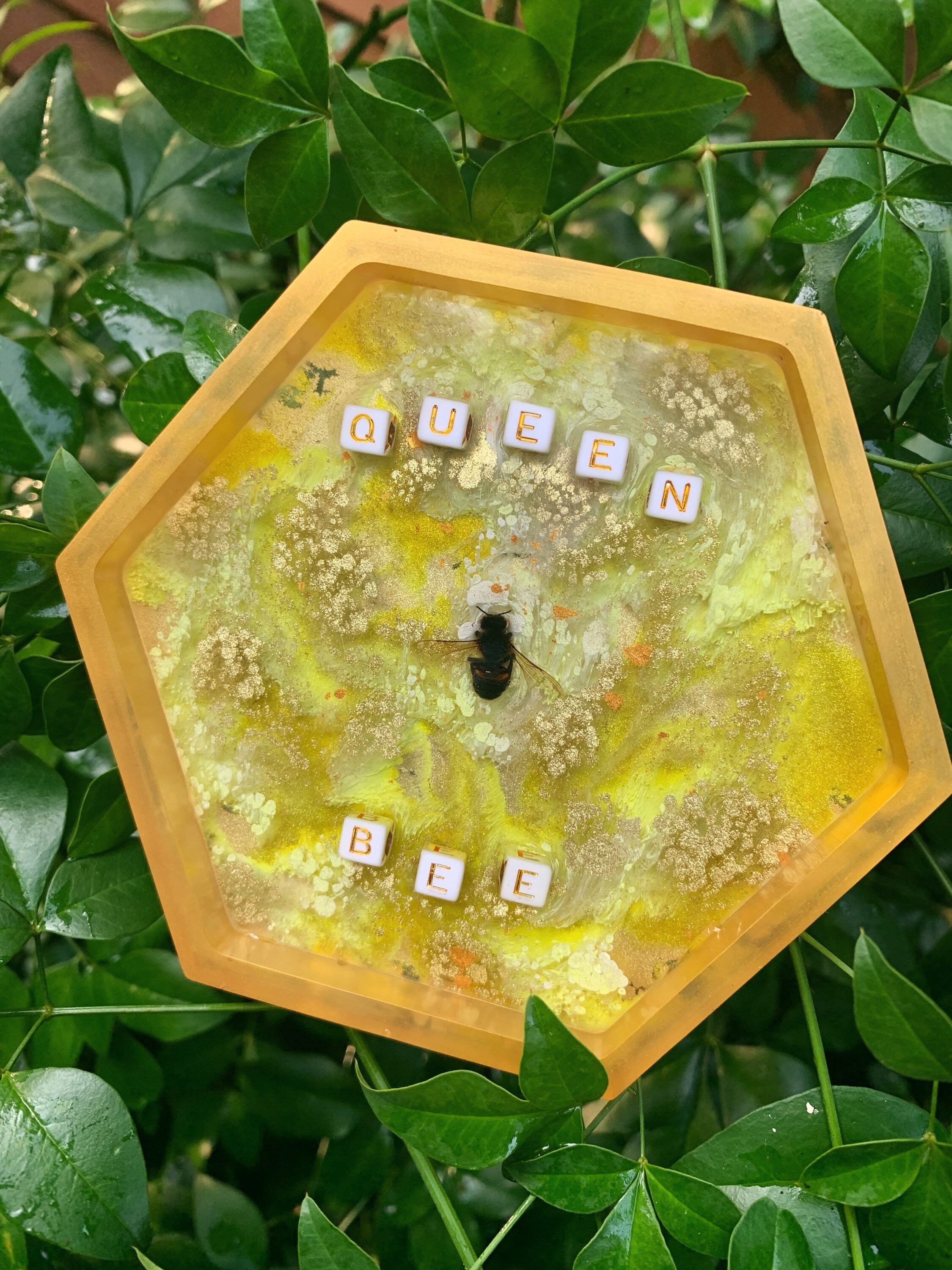 Honey Bee Set | Etsy