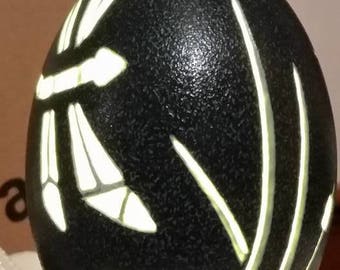 Hand-Carved Emu Egg: Dragonfly (#52)